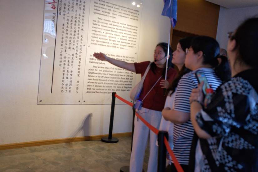 a12b0372be168e32c00e3d18e551073